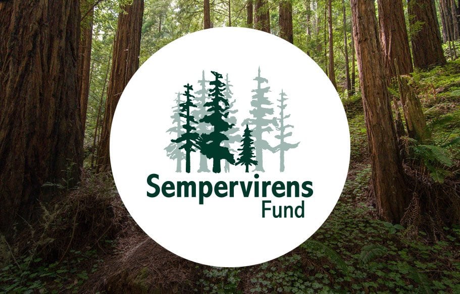 Sempervirens Fund portfolio thumbnail