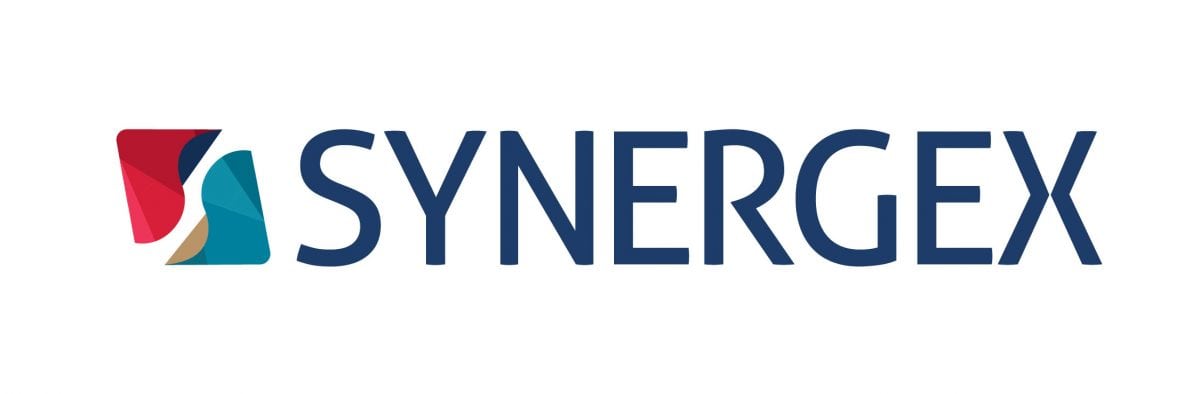 Synergex portfolio thumbnail