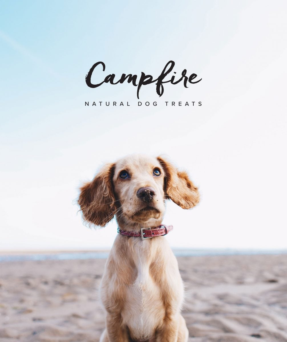 Campfire Natural Dog treats image of dog on beach