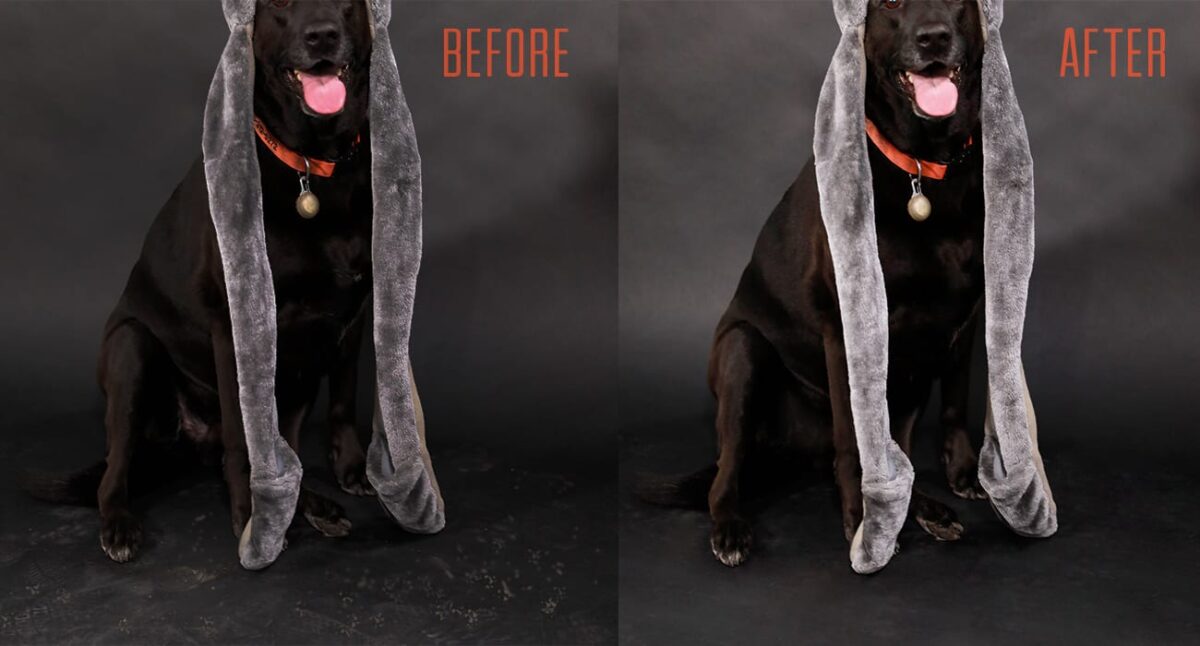 Photo Editing Of Before And After Example Of Editing Eyes And Teeth With Black Dog Wearing A Animal Hat